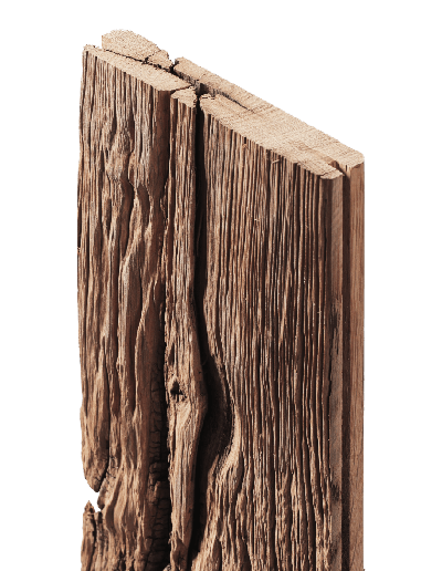 Chêne bois wood